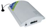 Цифровой GSM шлюз Ateus BRI Enterprise 5020020E (2 GSM канала)